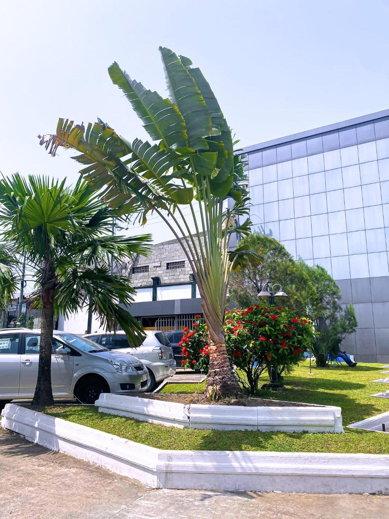 Hotel Vallee Des Princes Douala Exterior photo